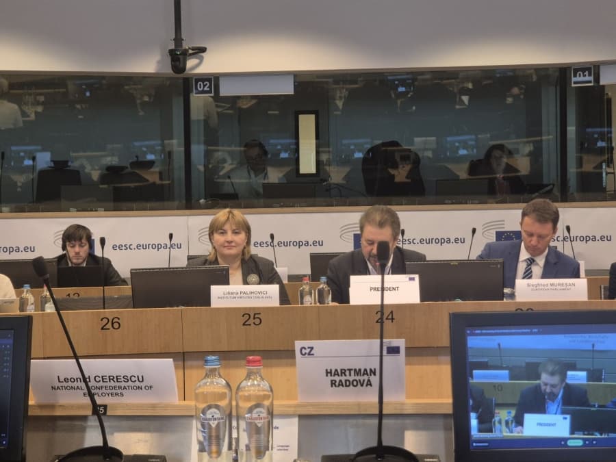 Reuniunea a 16-a a Platformei Societății Civile UE–RM: angajamente pentru aderare, reforme sociale și creștere economică