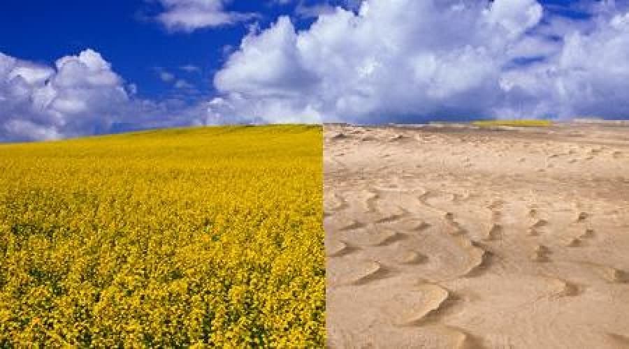 National Human Development Report 2009: Socio-Economic Impacts of Climate Change in Moldova and Policy Options to Adapt