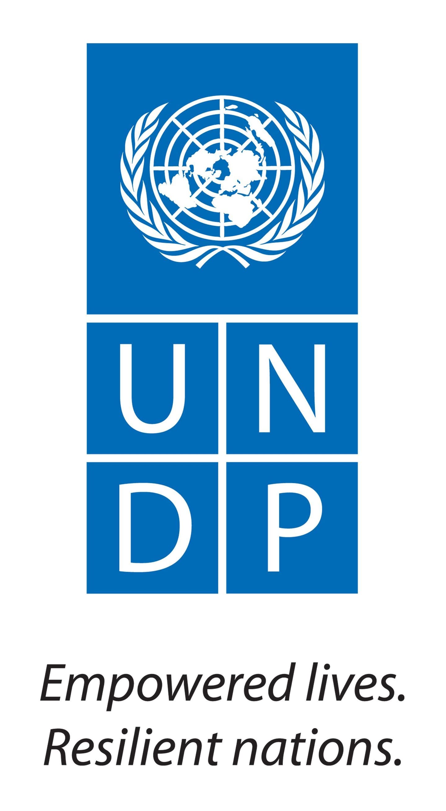 UNDP Logo Large